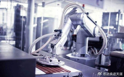 2025中國機博會武漢工博會 技術驅動產業變革，綠色與高端制造共舞